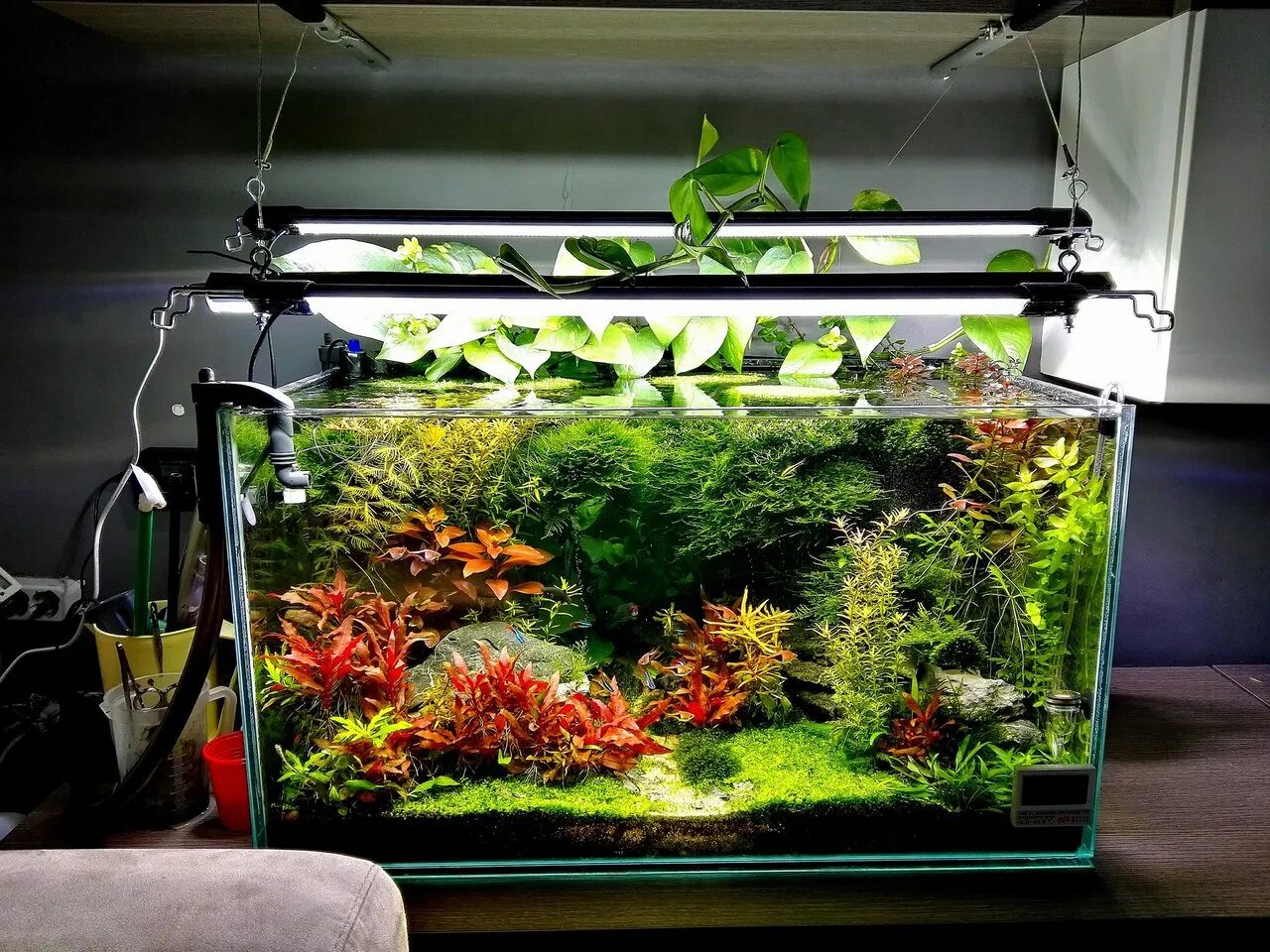 Как сделать чистый аквариум. Аквариум без рыбок. Дизайнерские аквариумы. Травник аквариум акваскейп. Аквариум jebo 200 литров угловой.