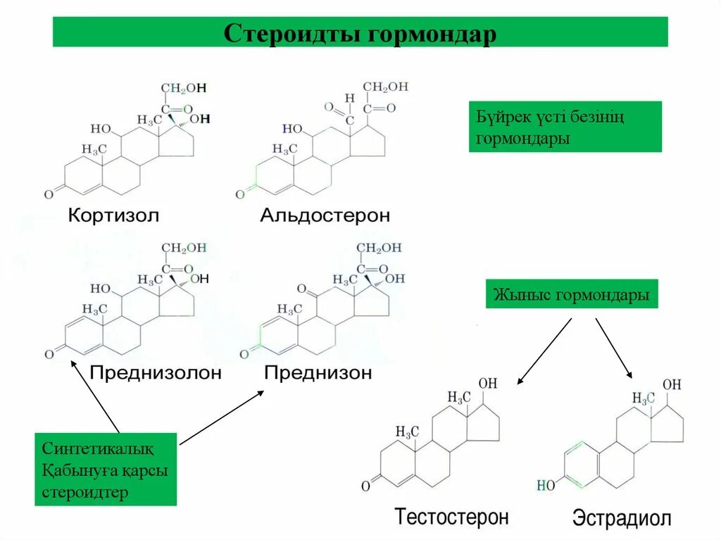 Этот элемент участвует в образовании тестостерона