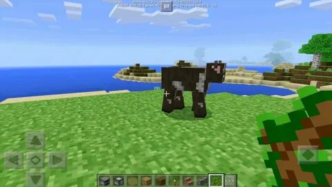 Minecraft bedrock pack