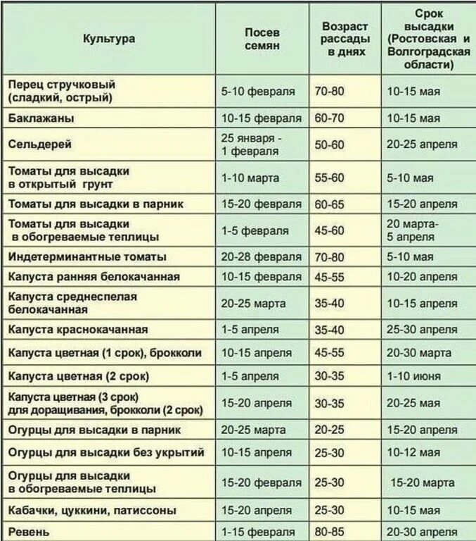 До какого числа можно сеять рассаду. Сроки высадки семян на рассаду овощей таблица. сроки высадки рассады овощей в открытый грунт. сроки высадки семян перца для рассады. сроки посева семян и высадки в открытый грунт рассады.