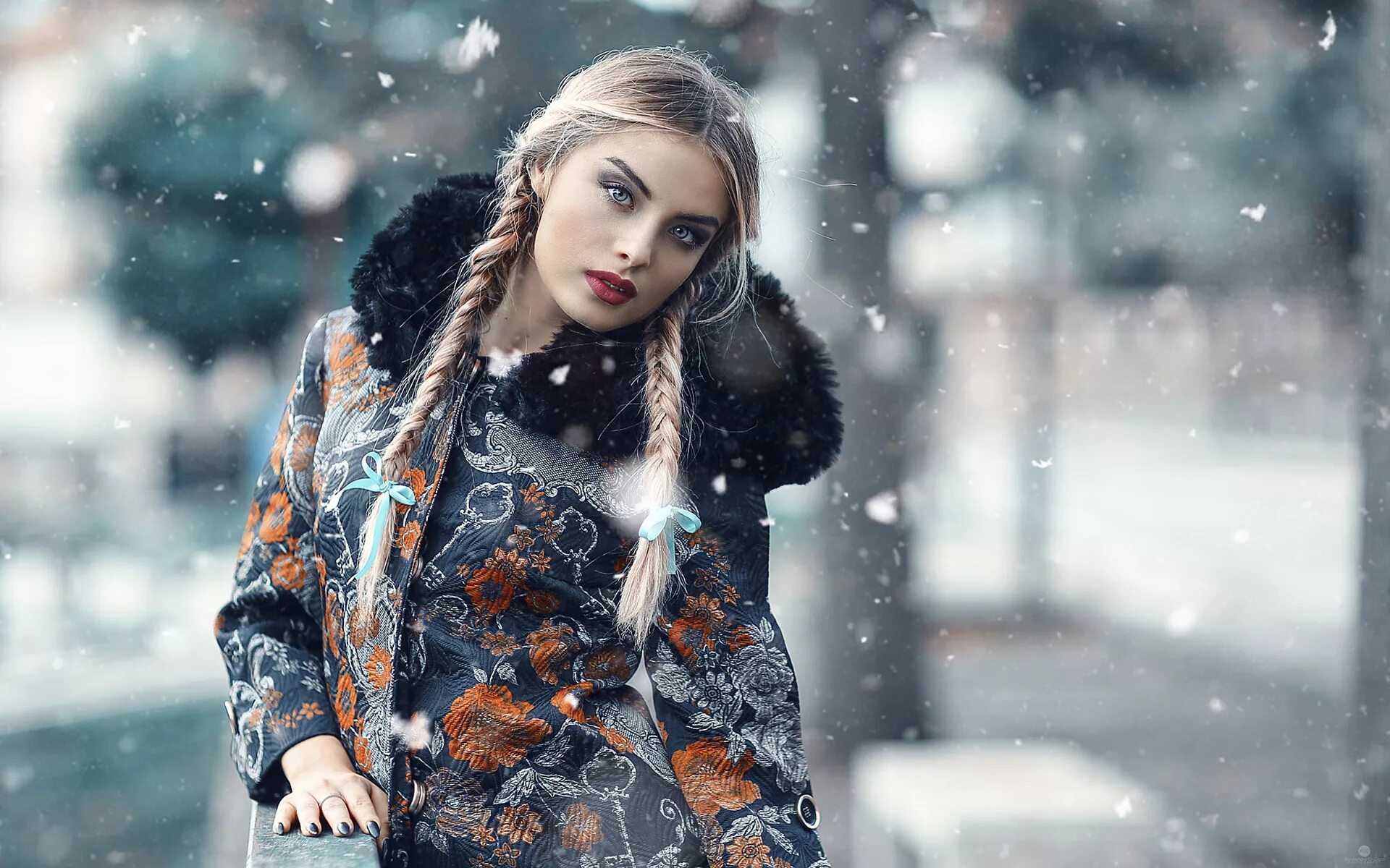 Snow model
