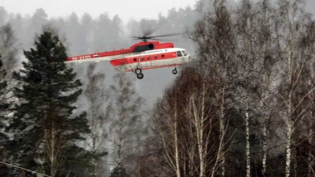 Вертолеты над озером. Катастрофа Robinson r66 над Телецким озером. На вертолете над Телецким озером. Телецкое озеро вертолет. Вертолет над тайгой.