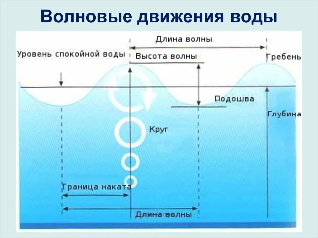 Схема движения волны. Формирование волны. Движение морских вод. Схема волны в океане. Движение воды вниз