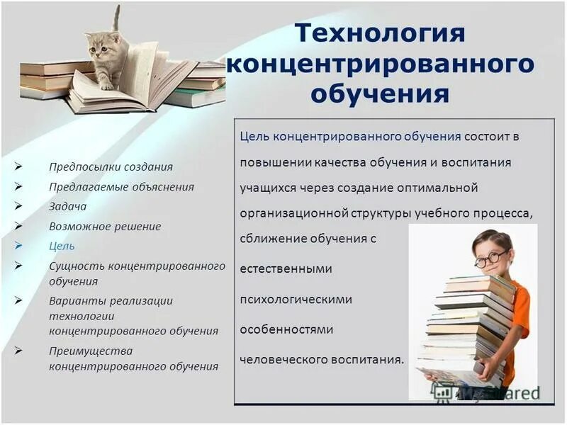 Естественное обучение языку. Технология концентрированного обучения. Сущность концентрированного обучения. Характеристика технологии концентрированного обучения.