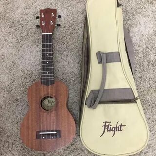 Flight 310