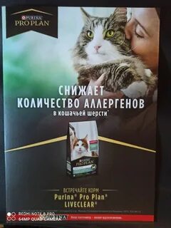 Корм для снижения количества аллергенов в шерсти