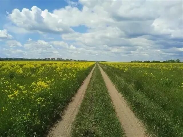 Верт 24. Верт 24