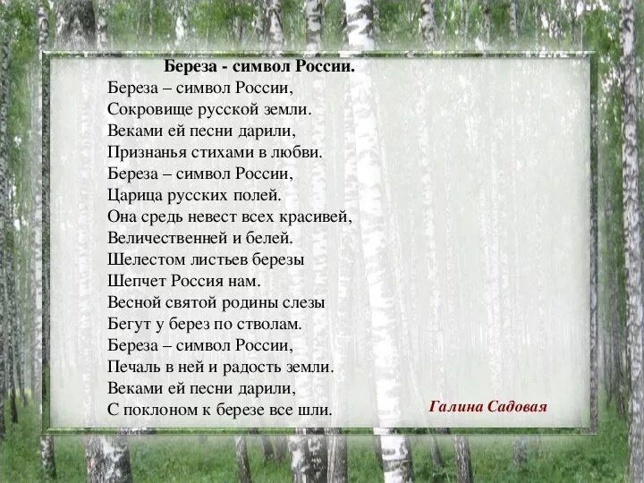 Береза символ России стихотворение. Берёза символ России сокровище русской земли. Берёза символ России сти. Стих про березу.