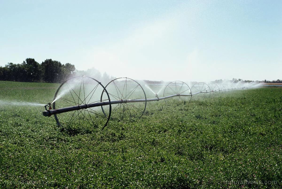 Оросительная система бмг-600. Каравелла дождевальная машина. Оросительная система дождевальная машина. Поливочная пушка оросительная hy50. Полив полей как называется.