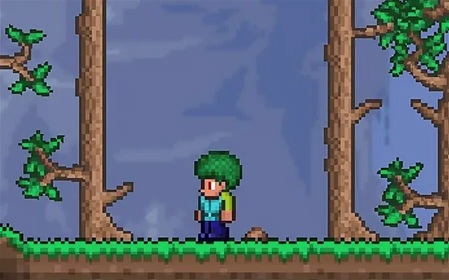 Го в террарию. Terraria go. Чипинкос персонаж террари. Терария. Террария тема.