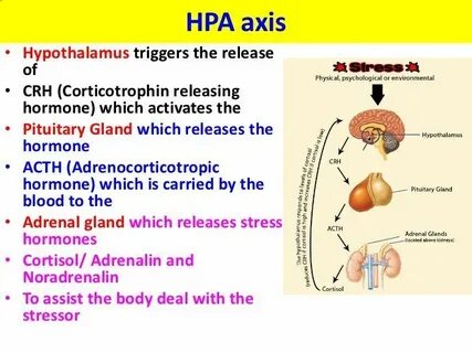 Hpa