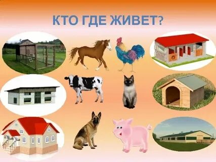 Откуда он какой дом