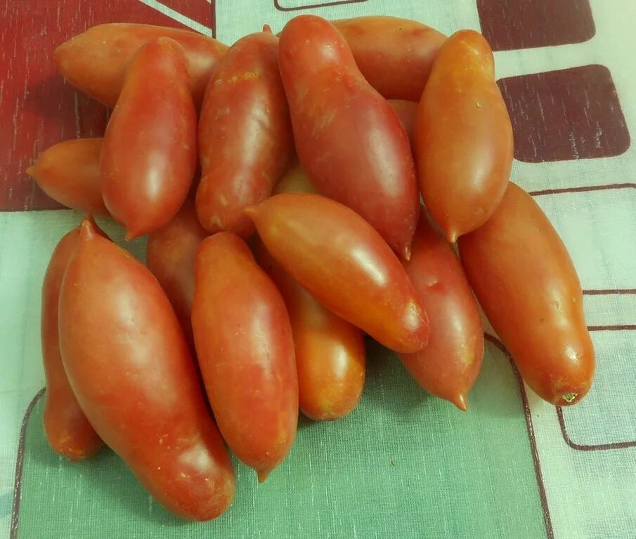 Томат перцевидный малиновый агрос. Сорт помидор перцевидный крепыш. Томат перцевидный алый. Томат перцевидный малиновый. Перцевидный малиновый.