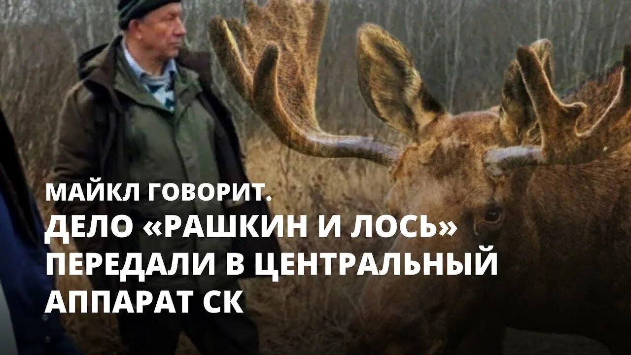 Скажи лось. Лось КПРФ Мем.