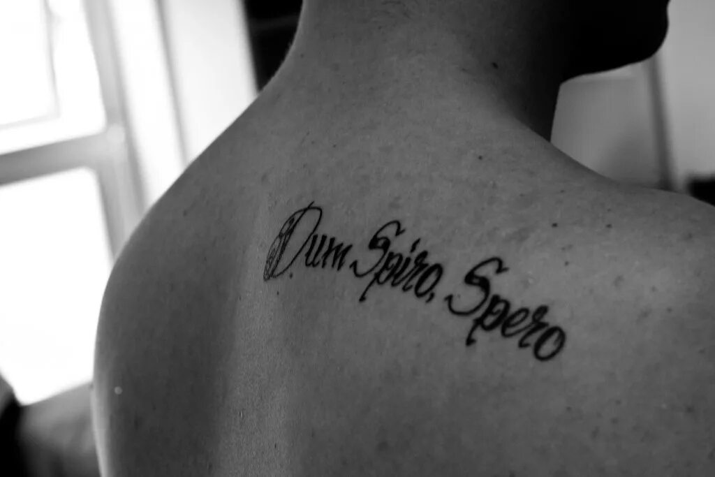 Спиро сперо. Дум Спиро сперо. Татуировки дум Спиро сперо. Дум Спиро сперо тату на руке.