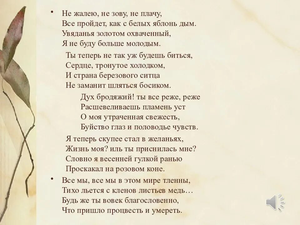 Тихо тихо тихо погулять. Стих на любую тему. Стихи с автором. Стихи я не. Авторские стихи.