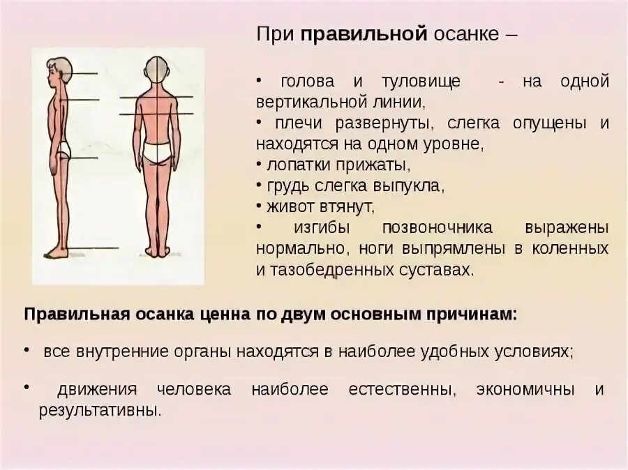 Осанку определяют как