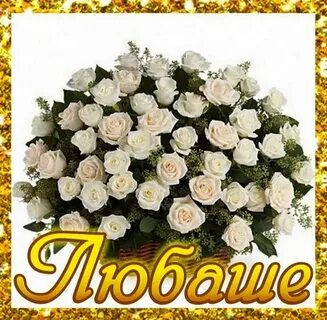 Люба любаша