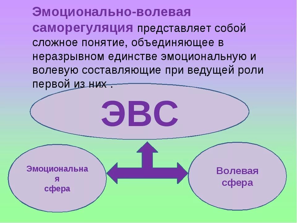 Личностные эмоциональные цели. Эмоционально волевая саморегуляция. Волевая саморегуляция это в психологии. Компоненты эмоционально-волевой сферы. Эмоциональная сфера и ее составляющие.