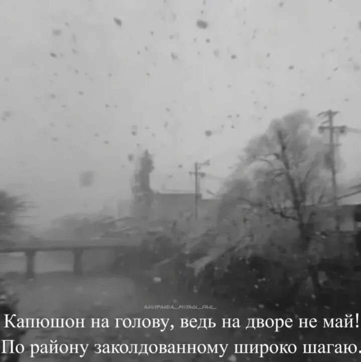 Песня широко шагали ноги. Фразы мияги для статуса. В тот месяц май в тот месяц мой. Капюшон на голову ведь на дворе не май. Мияги там ревели горы текст.