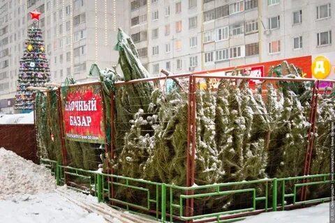 Елочный базар зеленоград