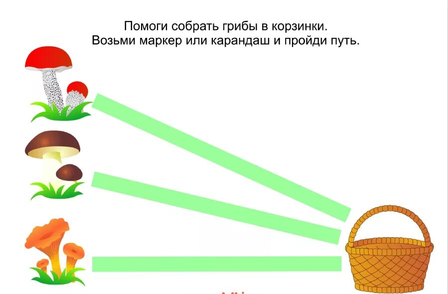 Грибы задания для детей. Задания для детей на тему грибы. Грибы задания для дошкольников. Тематическое занятие грибы для малышей. Маши решила посчитать все собранные грибы