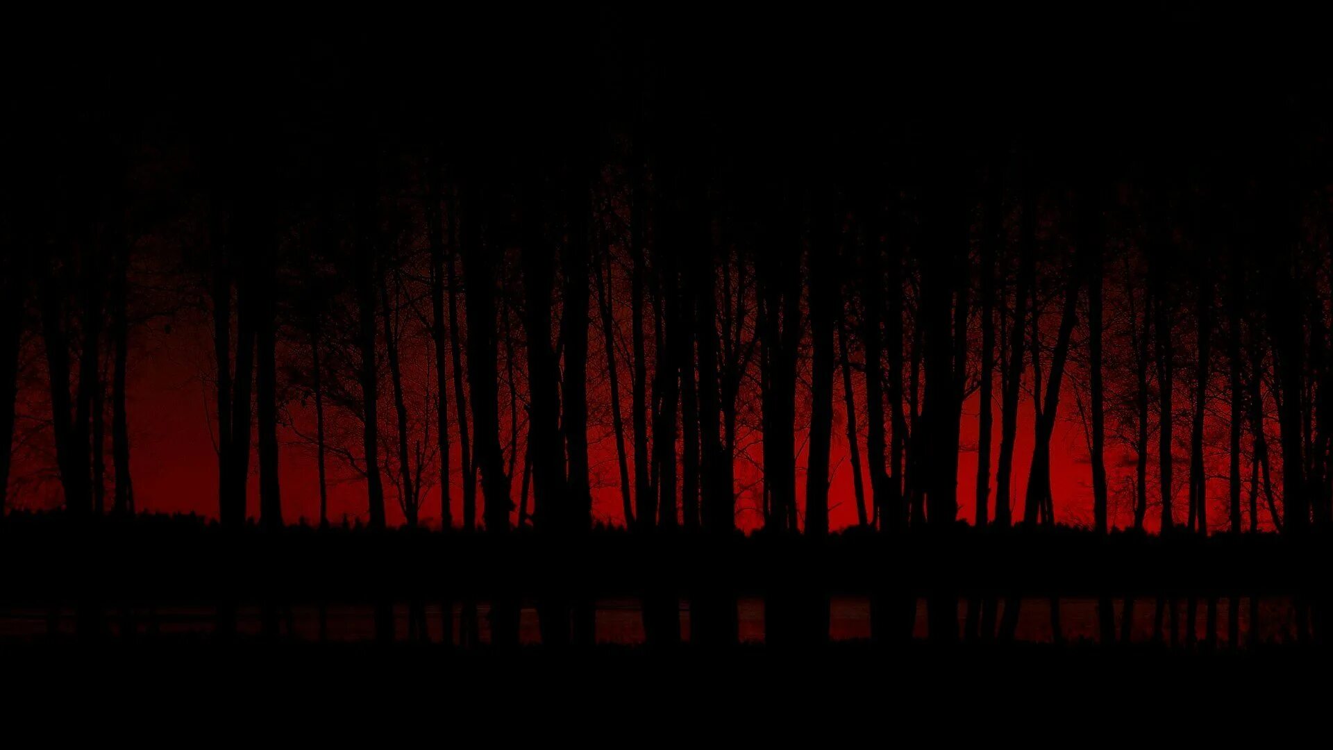 Темный дол. Кровавый лес. Жуткий фон. Страшный фон. Мрачный фон.