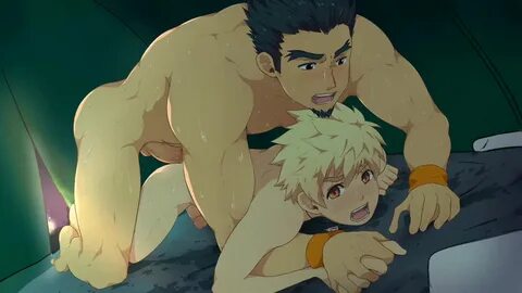 Bacchikoi all Gigs Compilation.