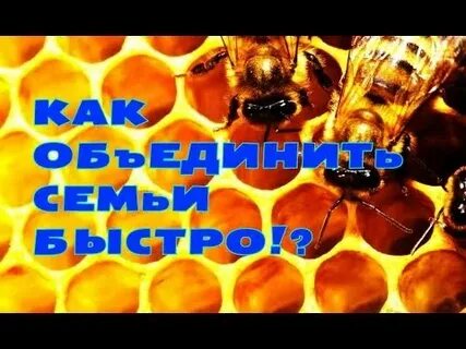 Слабые пчела