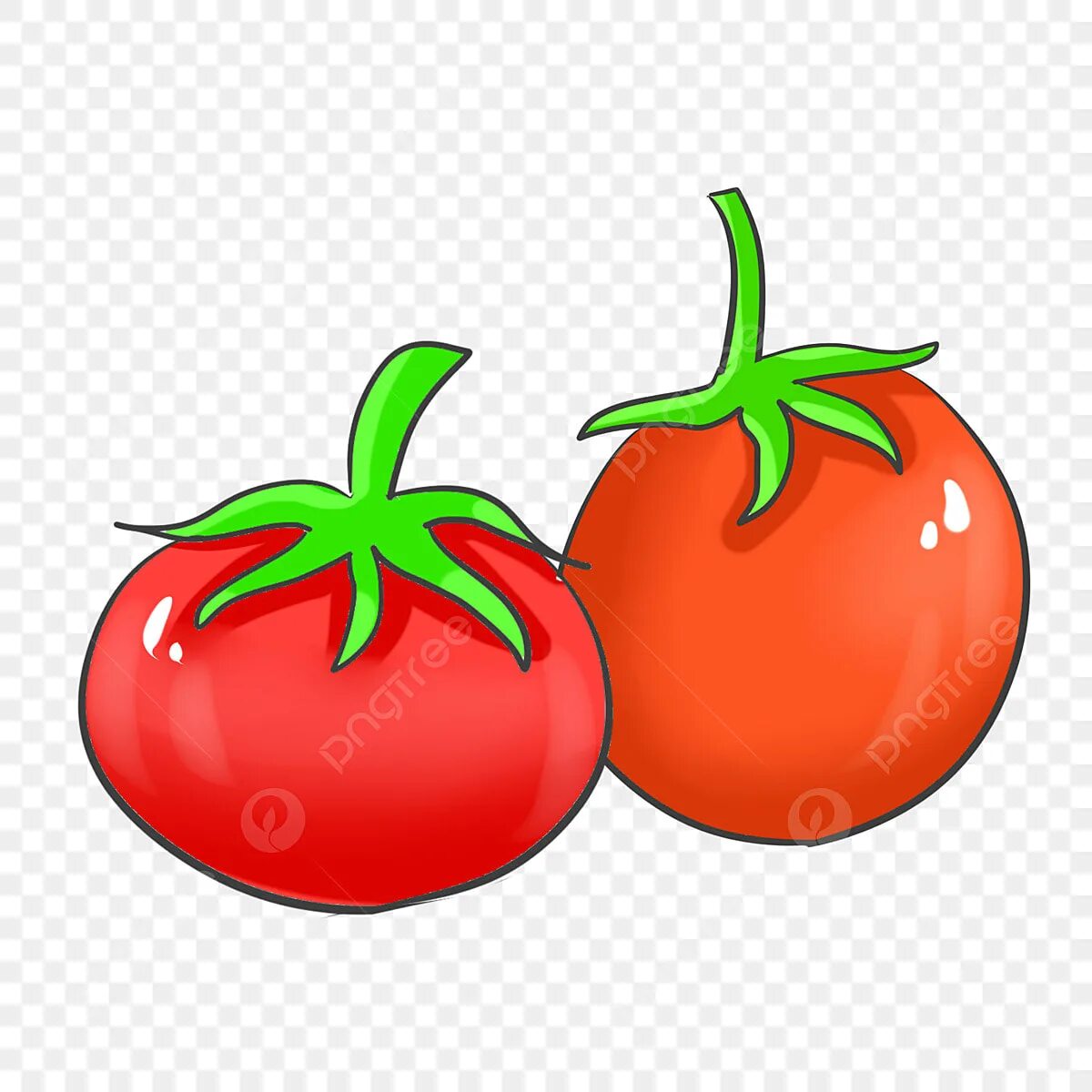 Two tomatoes. Помидор рисунок. Помидор рисунок для детей. Два помидора. 2 Помидор мультяшные.