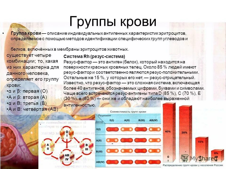 Особенности резусов крови