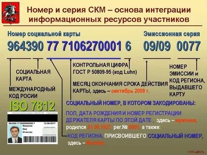 Как узнать номер социального фонда