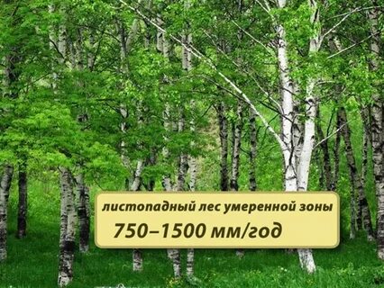 Зоны экосистемы