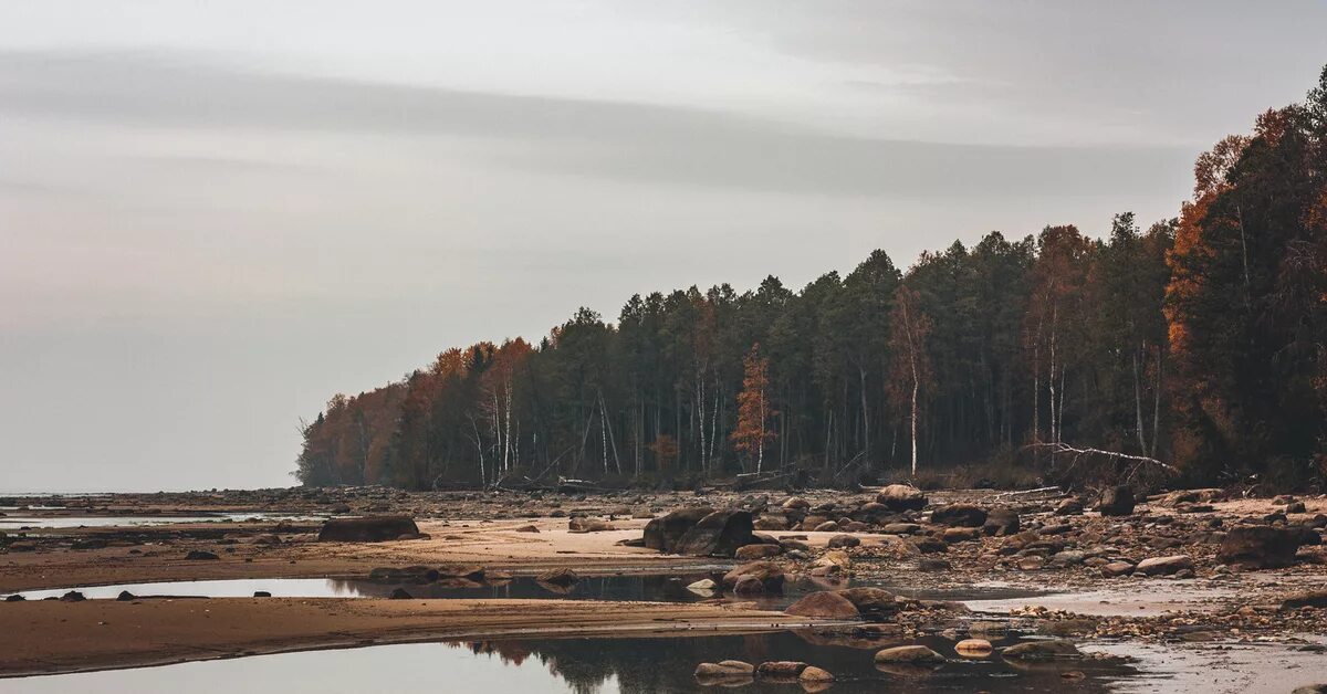 Легково рыбинское. Измайлово остров Рыбинское водохранилище. Ларионово Рыбинское водохранилище. Рыбинское водохранилище деревня Ларионово. Ухра Рыбинское водохранилище.