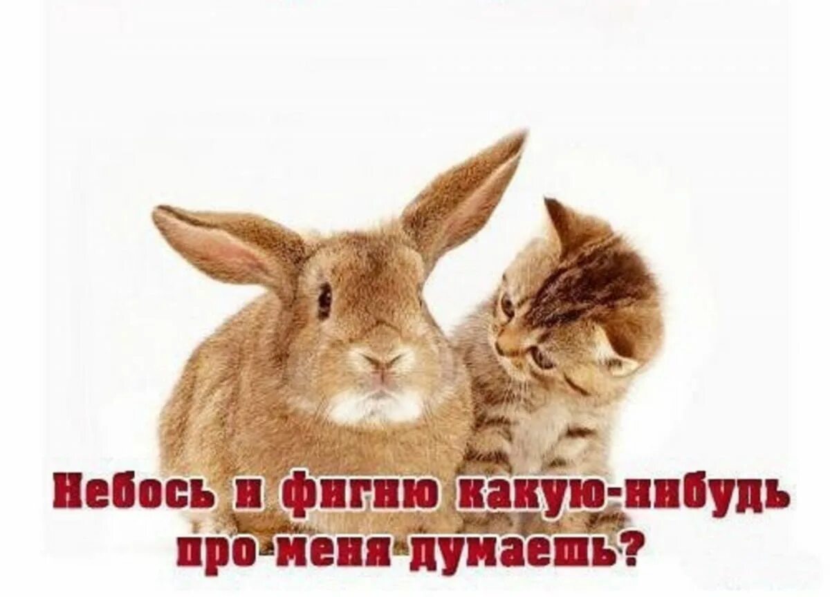 Совсем разговаривал. А ты совсем совсем со мной не разговариваешь. ты со мной не разговариваешь. а ты совсем совсем со мной не разговариваешь картинки. ты со мной не разговариваешь картинки прикольные.
