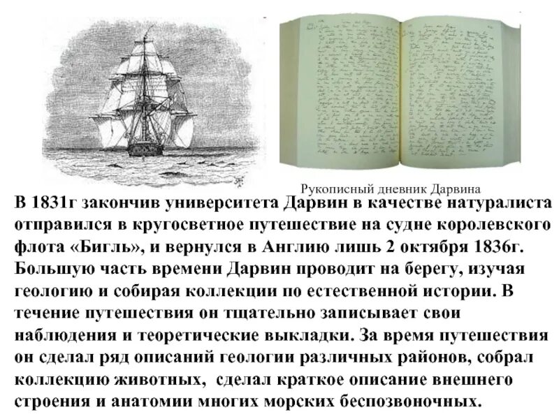 Кругосветное путешествие Чарльза Дарвина. Кругосветное путешествие Дарвина на корабле Бигль. Дневник путешествия Дарвина. Карта путешествия Дарвина.