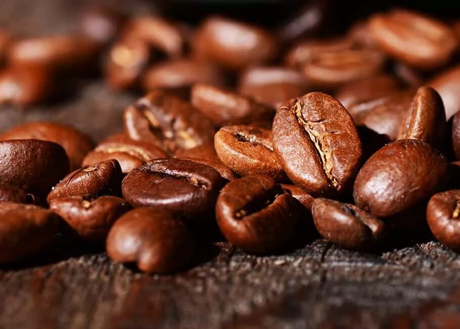 Как называлась раньше кофе. Кофе арабика арабика. arabica coffee beans. кофе арабика (coffea);. robusta coffee beans.