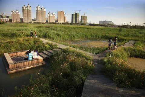 Топи город