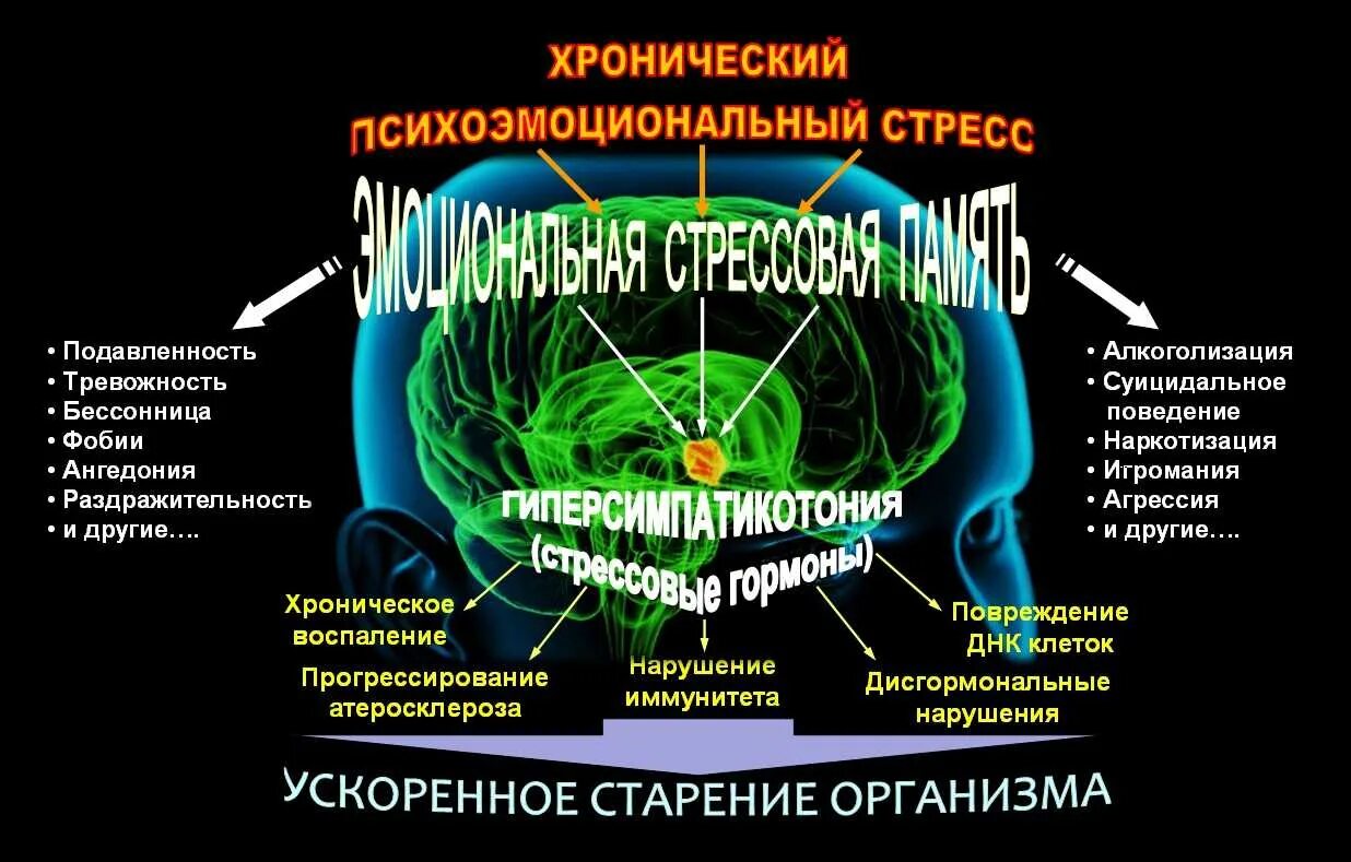 Психосоматические заболевания. Основные психосоматические болезни. Основные причины психосоматических заболеваний. Особенности психосоматических расстройств.