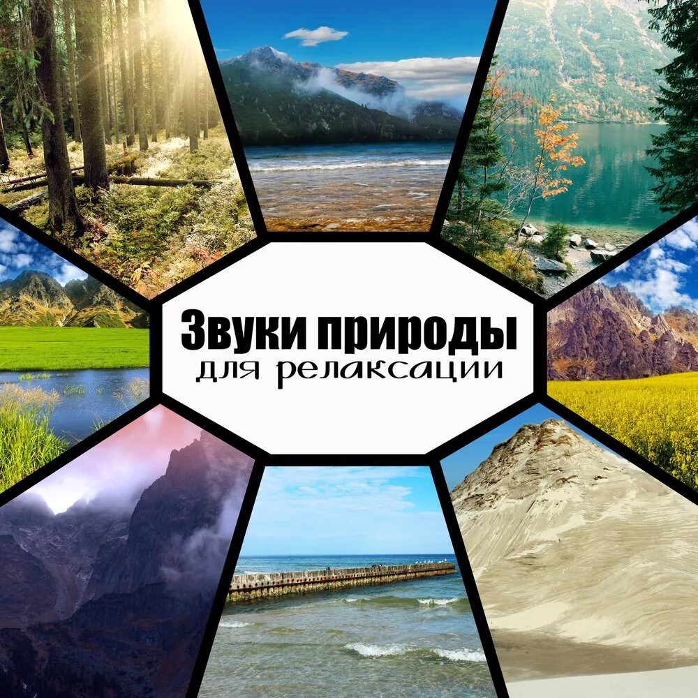 Звуки природы для релаксации детей. Звуки природы. Звуки природы для релаксации. Звуки природы картинки. Звуки для релаксации и успокоения.