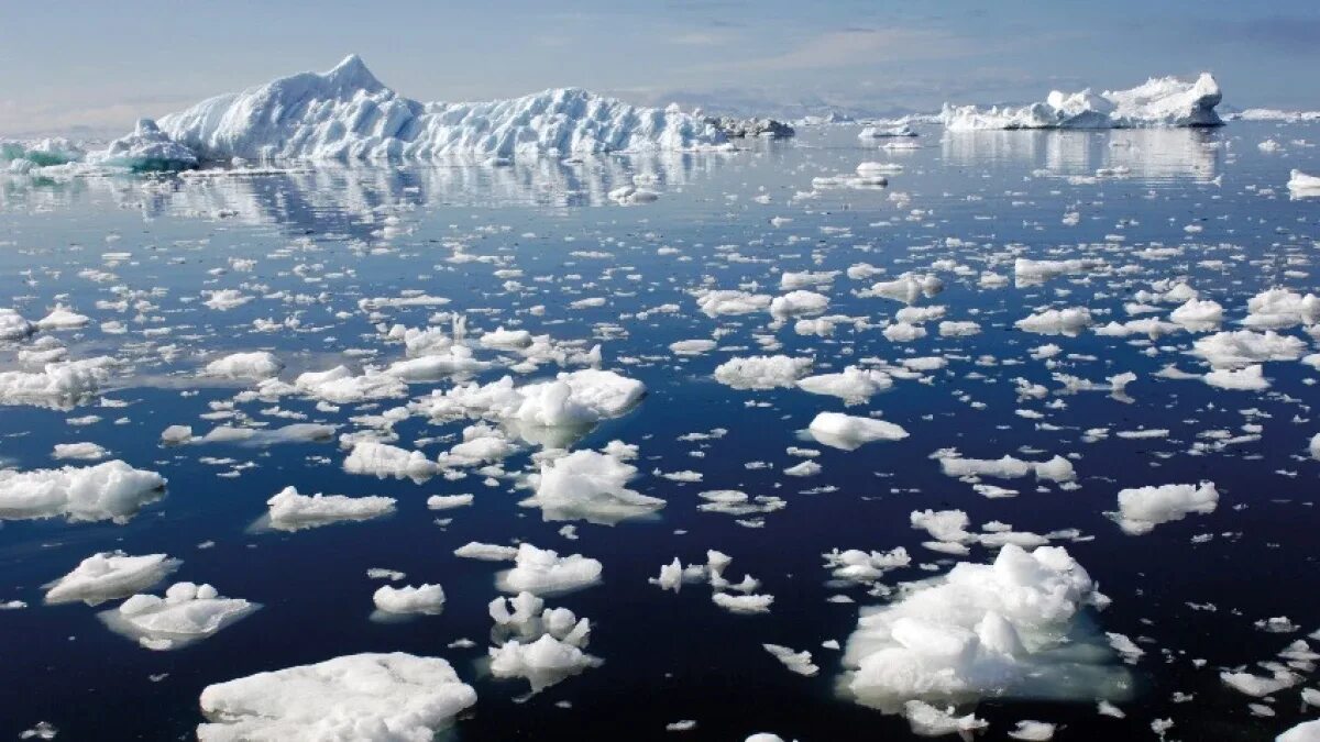 Global warming articles