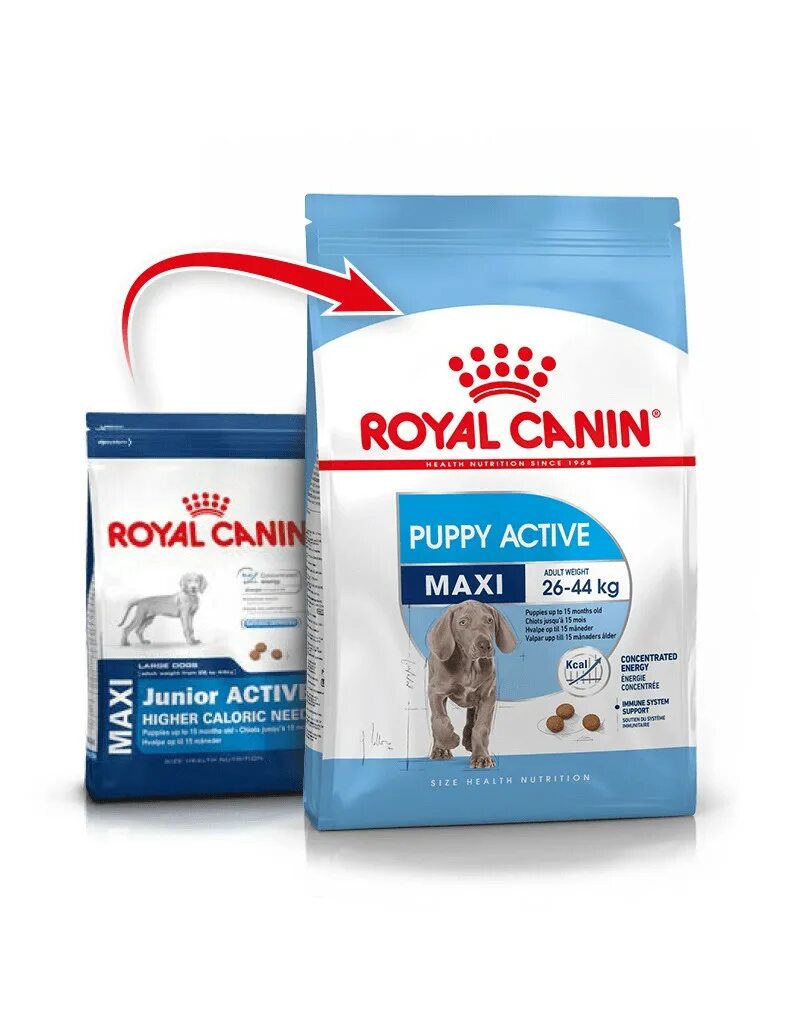 Royal canin puppy. Роял Канин макси Паппи 15 кг. Канин макси Джуниор. Роял Канин мини Паппи Джуниор. Роял макси Юниор.