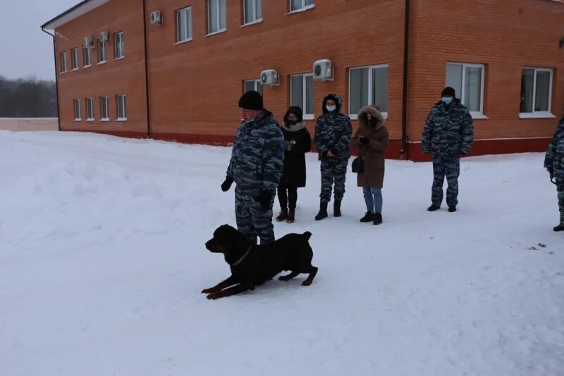 Колледж Калуга кинолог. Центру кинологической службы УМВД России по Калужской области. Кинолог в Калуге.