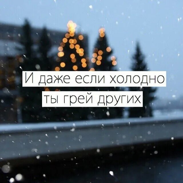 Будет холодно даже в самую. Цитаты про холодную зиму. фразы про холод. цитаты про холод. холодно высказывания.