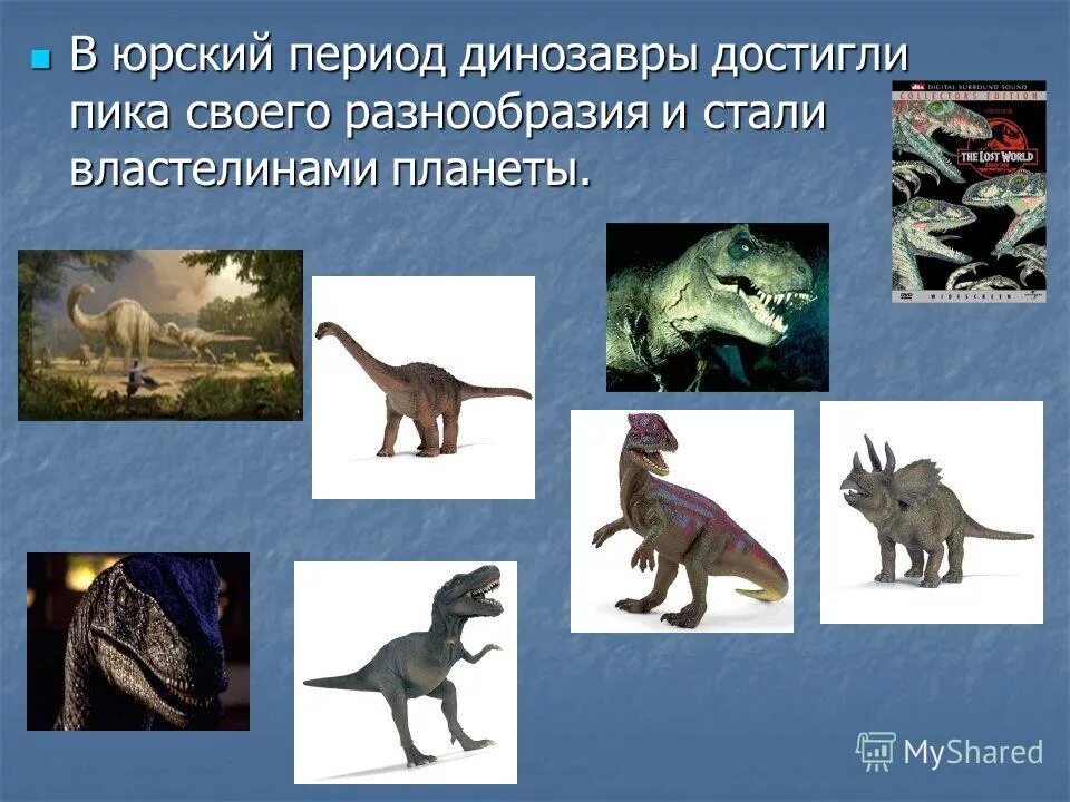 эра пресмыкающихся и голосеменных. эволюция растений в мезозойскую эру. эра пресмыкающихся и голосеменных. древние голосеменные растения. первые голосеменные растения.