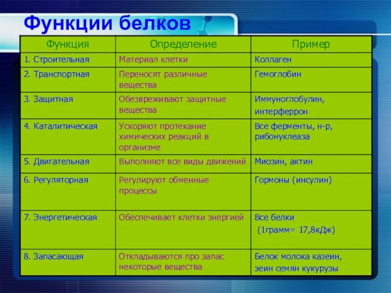 Список функций белков. Функции белков. Строительная функция белков примеры. Белки функции. Биологические функции белков.