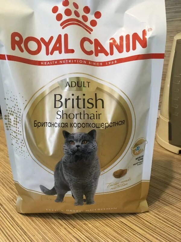 Royal canin для кошек 2кг. Роял Канин для британских кошек 13 кг. Роял Канин Бритиш для кошек. Роял Канин Британская короткошерстная 2 кг. Роял Канин для кошек сухой Бритиш.