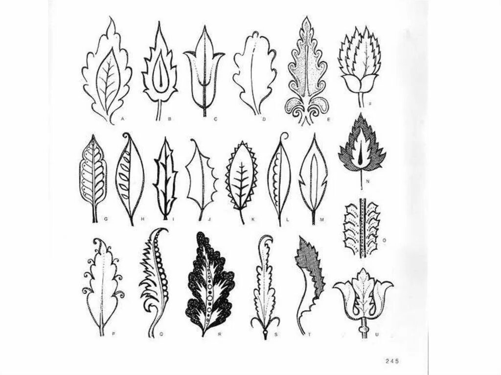 типы расчленения листовой пластинки простого листа. морфология листа таблица. формы края листьев. растительный орнамент эскиз. копьевидная форма листовой пластинки.