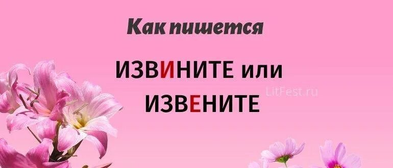 Как правильно писать извините. Извините как пишется. извените или извините как правильно писать. извени или извини. как правильно писать слово извини или извени.
