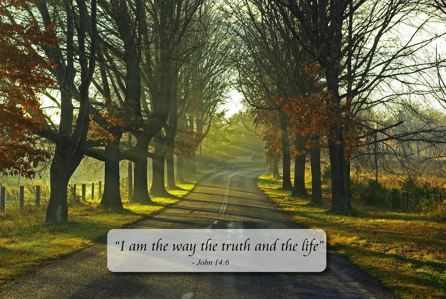 Truth is the way. Jesus the way, the truth, and the life. the way• the truth • the life. фон на телефона this is the way. обои жизнь продолжается.